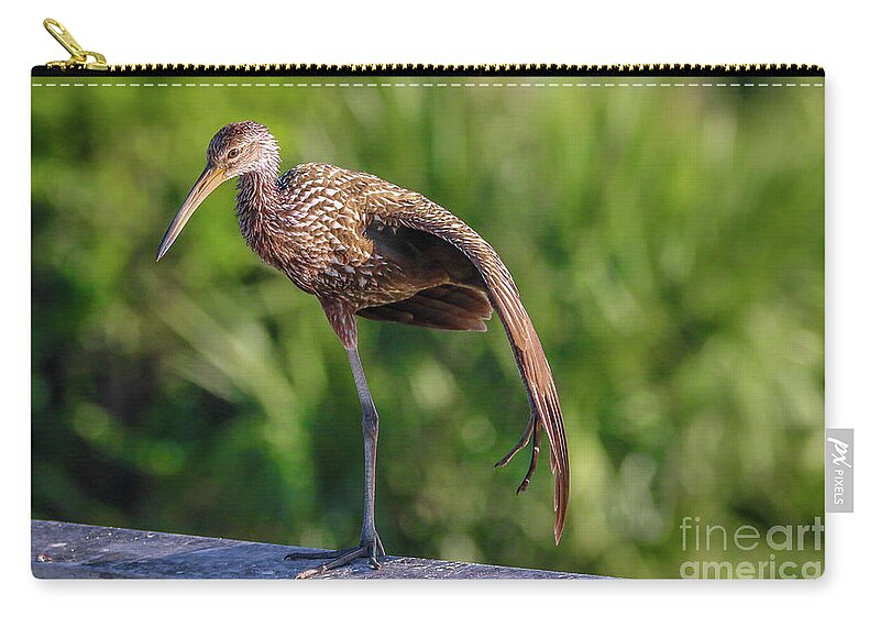 Limpkin Zip Pouch featuring the photograph Yoga Pose Limpkin by Tom Claud