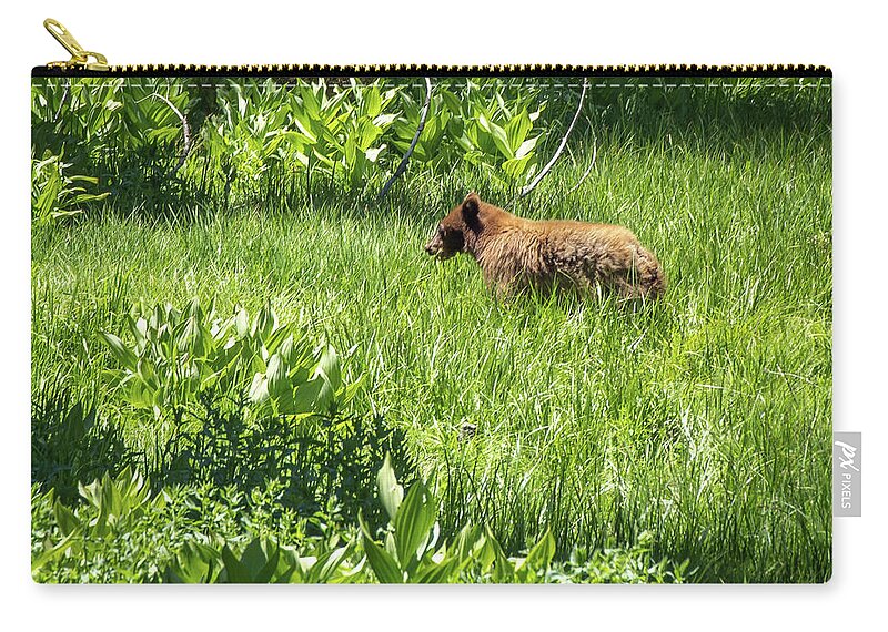 Yosemite Zip Pouch featuring the photograph Yosemite 01 by Will Wagner