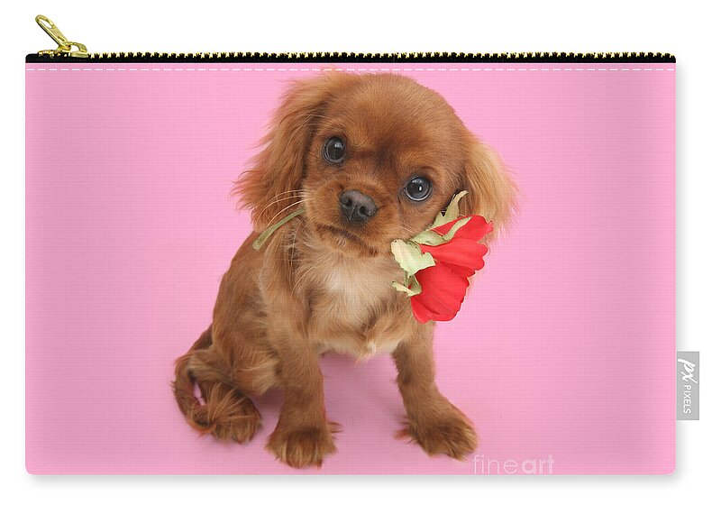 Ruby Cavalier King Charles Spaniel Zip Pouch featuring the photograph You are My Sweetheart by Warren Photographic