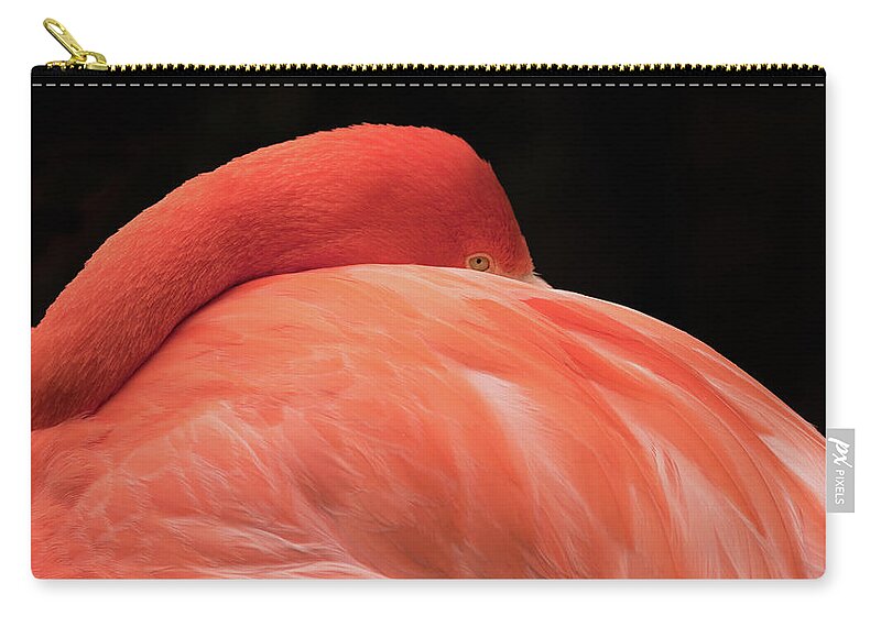 Flamingo Carry-all Pouch featuring the photograph You Can Learn A Lot By Watching by Holly Ross