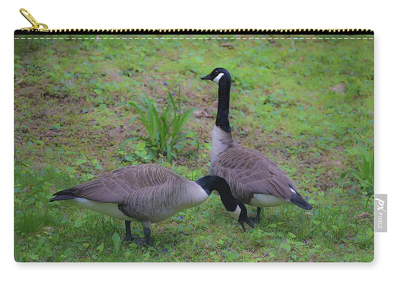 Geese Zip Pouch featuring the photograph You Eat - I'll Keep Watch by Deborah Crew-Johnson