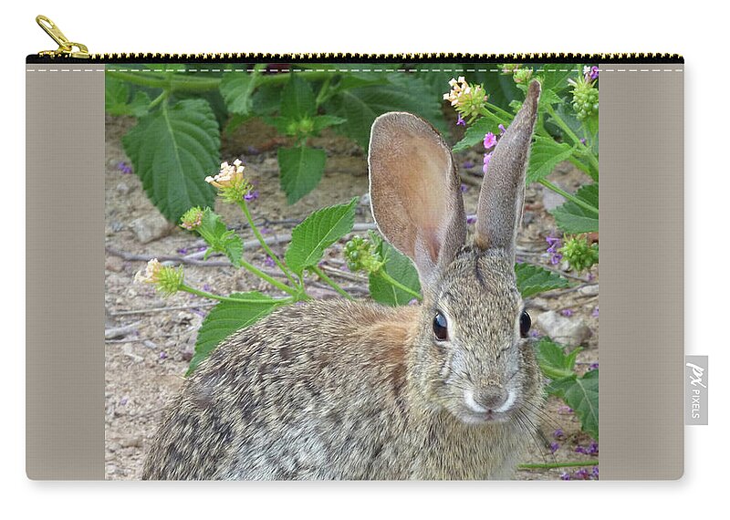 Rabbit Zip Pouch featuring the photograph You looking at Me? by Kare Dey