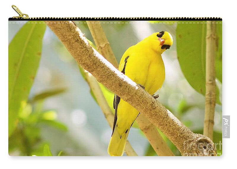 Photography Zip Pouch featuring the photograph You Looking at Me? by Sean Griffin