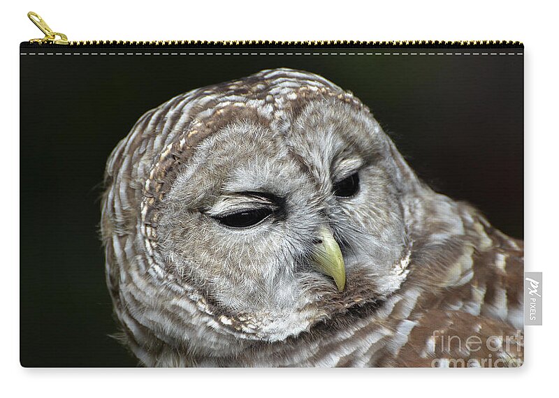 Barred Owl Owl Zip Pouch featuring the photograph You Mean Whom? by Amy Porter