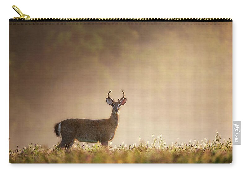 Buck Zip Pouch featuring the photograph Young Buck by Bill Wakeley
