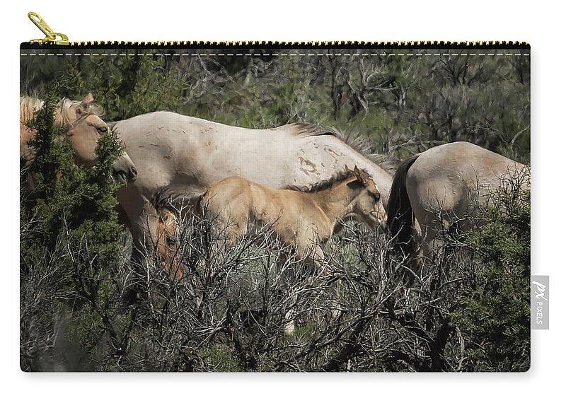 Foal Zip Pouch featuring the photograph Young but Keeping Up by Belinda Greb