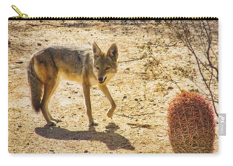 Arizona Zip Pouch featuring the photograph Young Coyote and Cactus by Judy Kennedy
