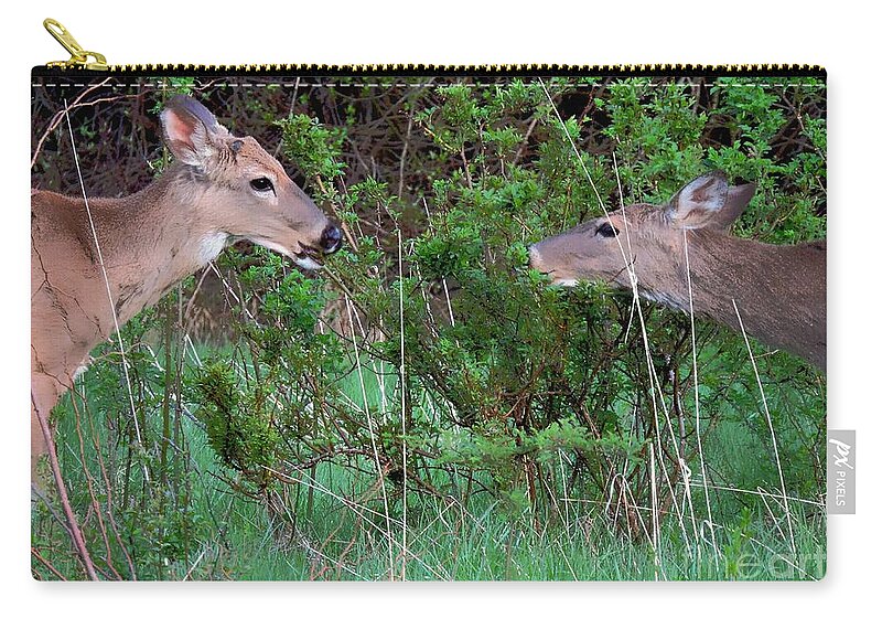 Deer Zip Pouch featuring the photograph Young Deer Of Spring by Tami Quigley