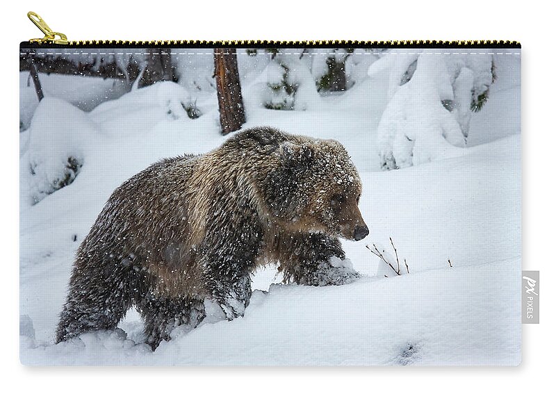 Mark Miller Photos Zip Pouch featuring the photograph Young Grizzly in Blizzard by Mark Miller