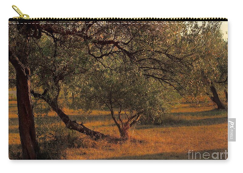 Symbol Zip Pouch featuring the photograph Young Life in the Olive Grove by Angela Rath