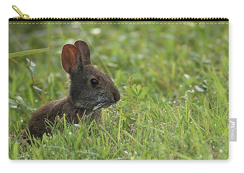 Rabbit Zip Pouch featuring the photograph Young Rabbit Dining by Richard Goldman