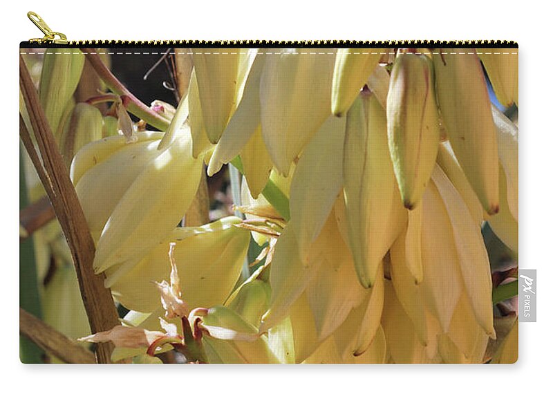 Nature Zip Pouch featuring the photograph Yucca Bloom II by Ron Cline