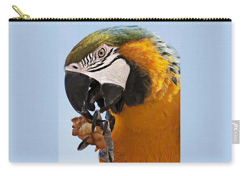Bird Zip Pouch featuring the photograph Yum, Funnel Cakes by Mitch Spence
