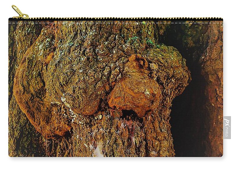 Z Z Carry-all Pouch featuring the photograph Z Z In A Tree by Randy Sylvia