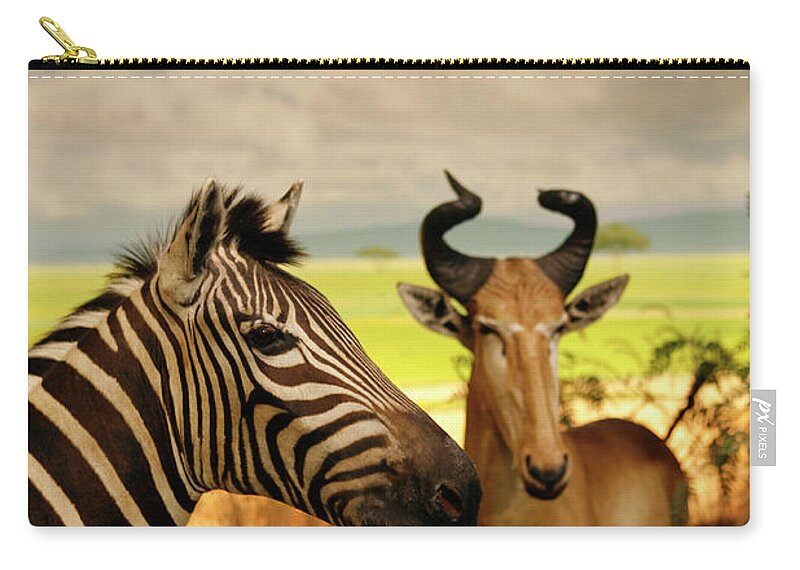 Nature Zip Pouch featuring the photograph Zebra and Antelope by Marilyn Hunt