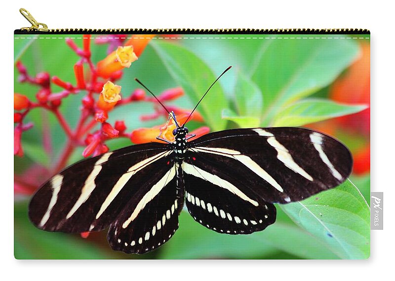 Zebra Longwing Butterfly Zip Pouch featuring the photograph Zebra Longwing Butterfly by Carol Montoya