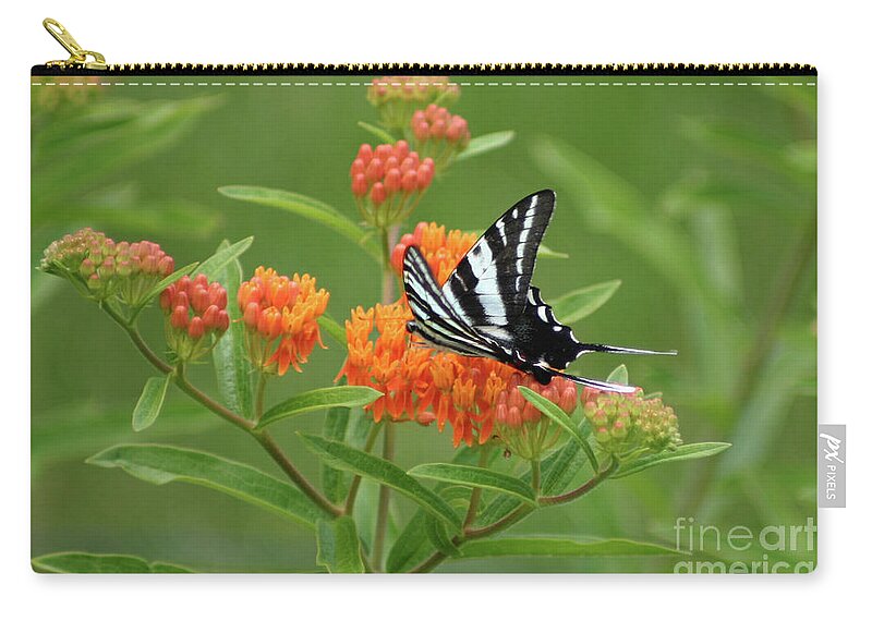 Zebra Swallowtail Butterfly Zip Pouch featuring the photograph Zebra Swallowtail Butterfly 15264_v1 by Robert E Alter Reflections of Infinity