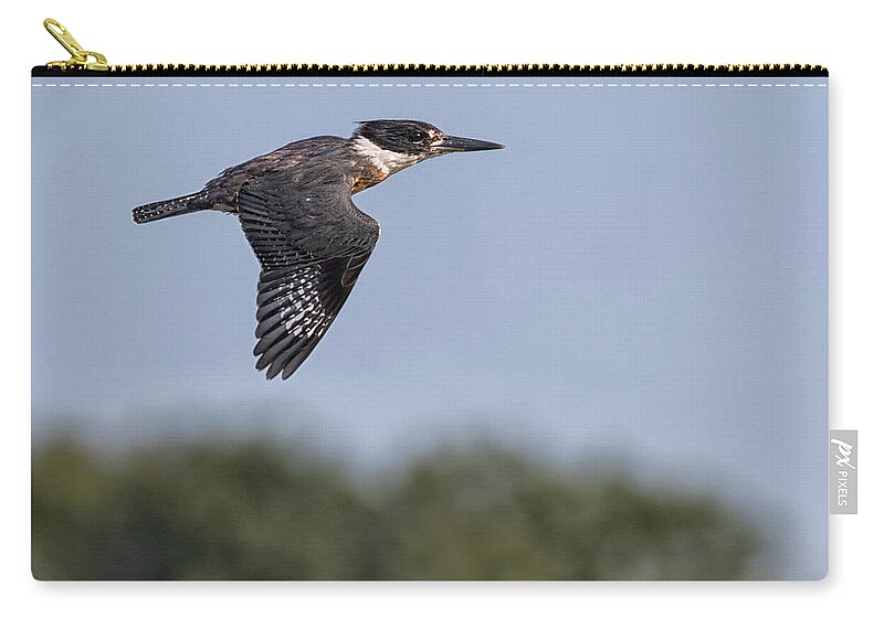 Belted Kingfisher Zip Pouch featuring the photograph Zoom by Art Cole
