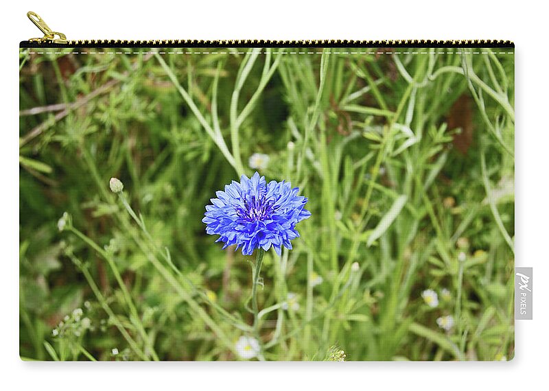 Heswall Zip Pouch featuring the photograph 06/07/19 HESWALL. The Wirral Way. Blue Cornflower. by Lachlan Main