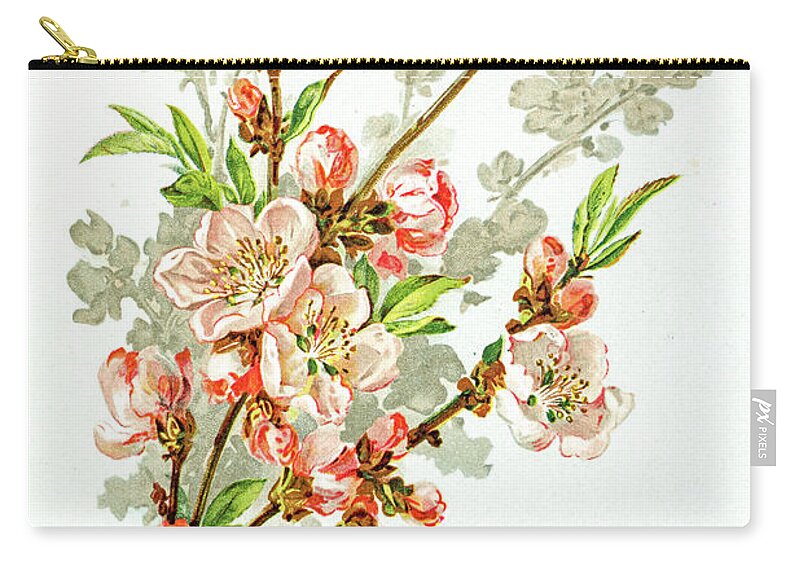 Cherry Zip Pouch featuring the digital art Apple Blossom 19 Century Illustration #1 by Mashuk