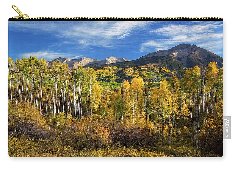 America Zip Pouch featuring the photograph Aspens Of Kebler Pass #1 by John De Bord