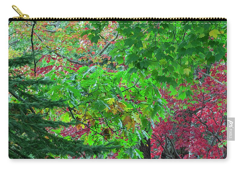Tranquility Zip Pouch featuring the photograph Autumn Forest Colors In Maine #1 by Jerry Whaley