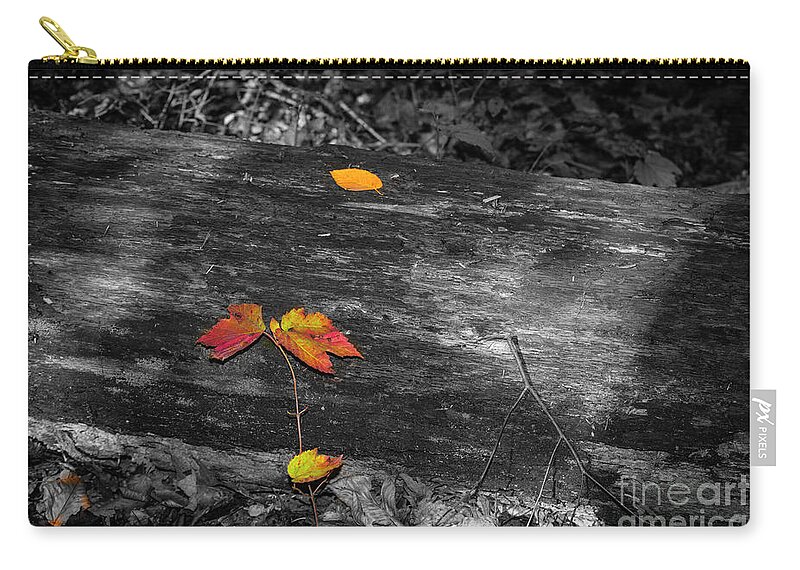 Tree Zip Pouch featuring the photograph Autumn Leaves #2 by Judy Wolinsky