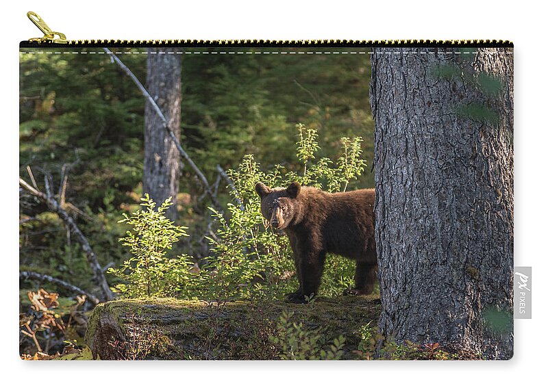 Bear Carry-all Pouch featuring the photograph Bear by David Kirby