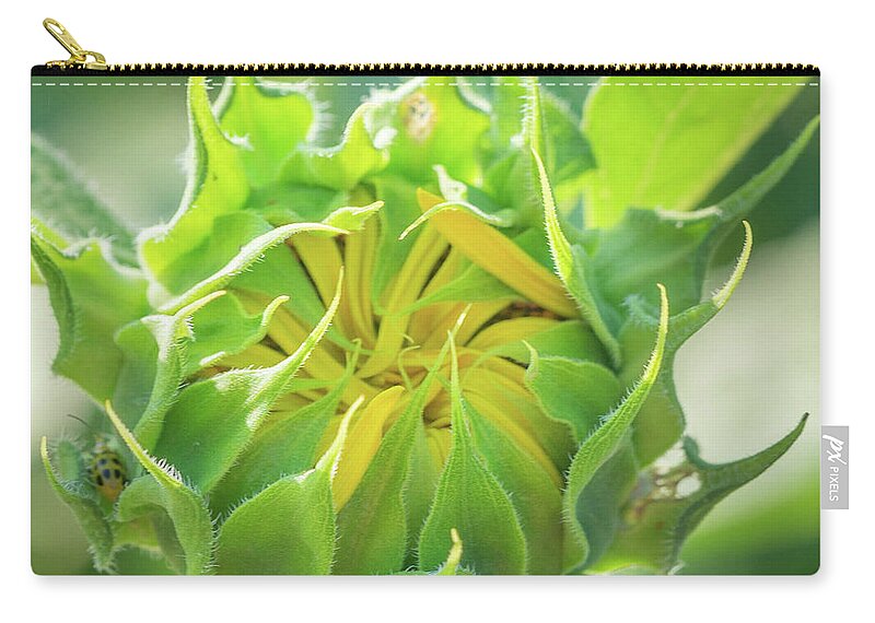 Sunflower Zip Pouch featuring the photograph Becoming #1 by Cathy Donohoue