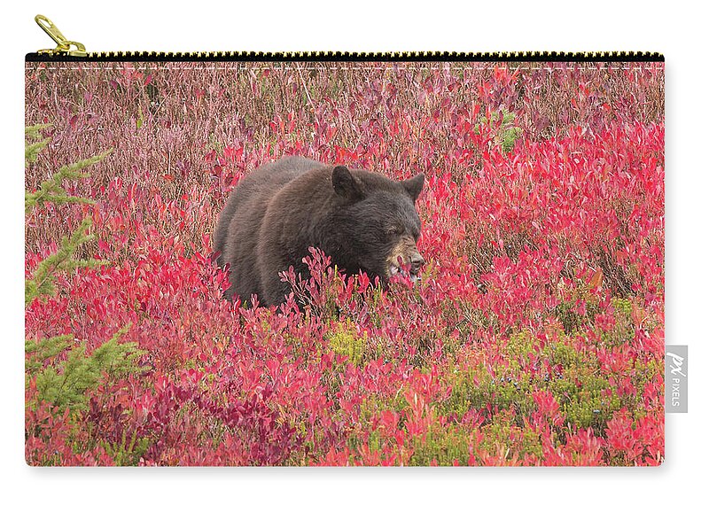 Black Bear Zip Pouch featuring the photograph Berries for the Bear by E Faithe Lester