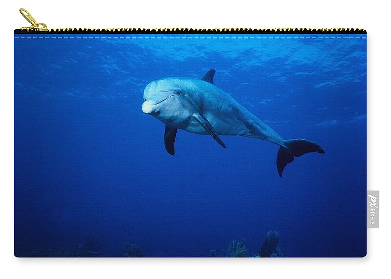 Underwater Zip Pouch featuring the photograph Bottlenose Dolphin,tursiops #1 by Gerard Soury