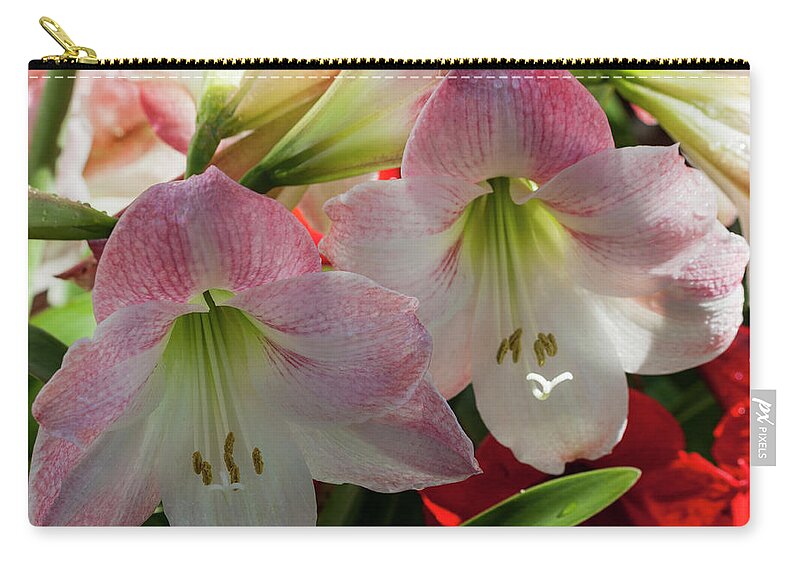Photograph Zip Pouch featuring the photograph Breathtaking #1 by Suzanne Gaff