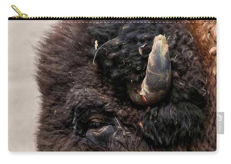 American Bison Zip Pouch featuring the photograph Buffalo Head #1 by Pamela Steege
