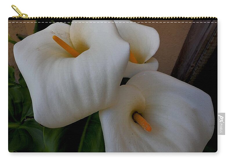 Botanical Zip Pouch featuring the photograph Calla Lilies Three #1 by Richard Thomas