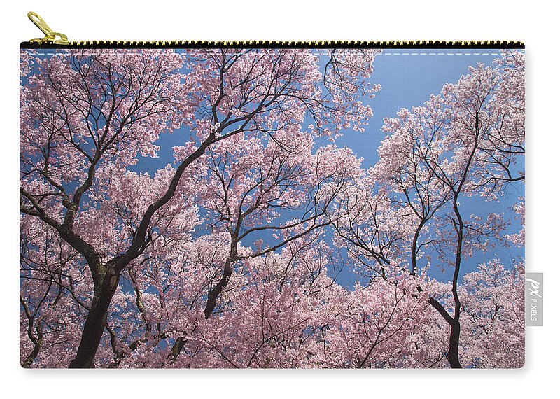 Non-urban Scene Zip Pouch featuring the photograph Cherry Blossomscerasus Subhirtella #1 by Akira Kaede
