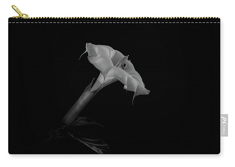 Datura Zip Pouch featuring the photograph Datura and bee in black and white #2 by Alessandra RC