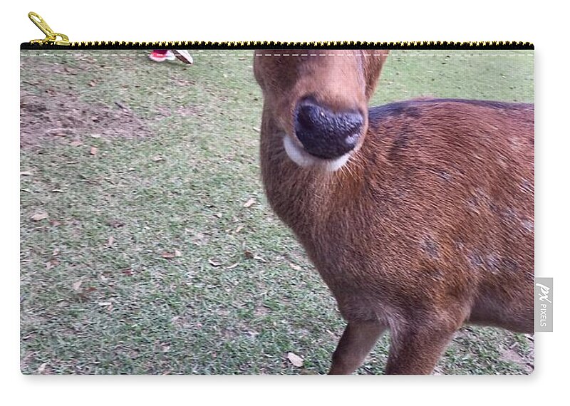 Deer Zip Pouch featuring the photograph Deer #2 by Batabatabat Batayan