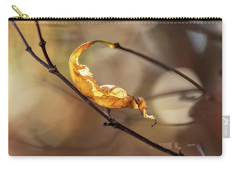 Fall Zip Pouch featuring the photograph Nature Photography - Fall Leaves by Amelia Pearn