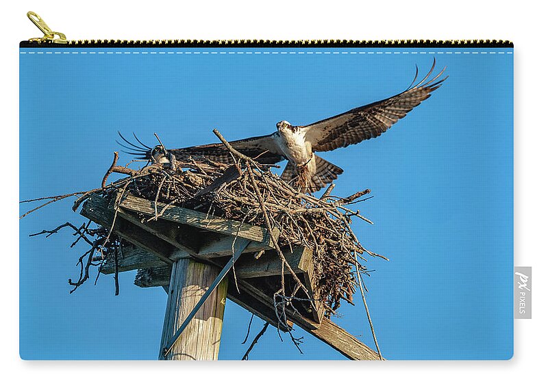 Osprey Zip Pouch featuring the photograph Feathering The Nest by Cathy Kovarik