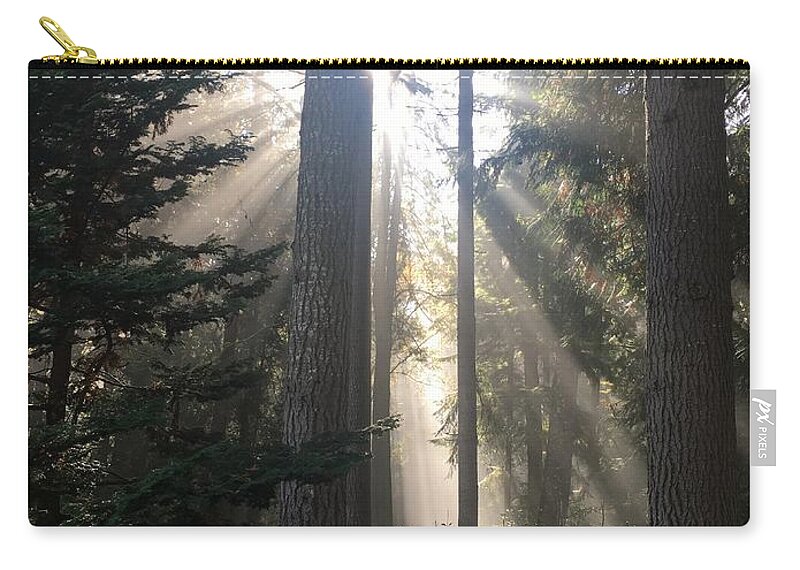 Forest Zip Pouch featuring the photograph Forest Sunlight #1 by Jerry Abbott