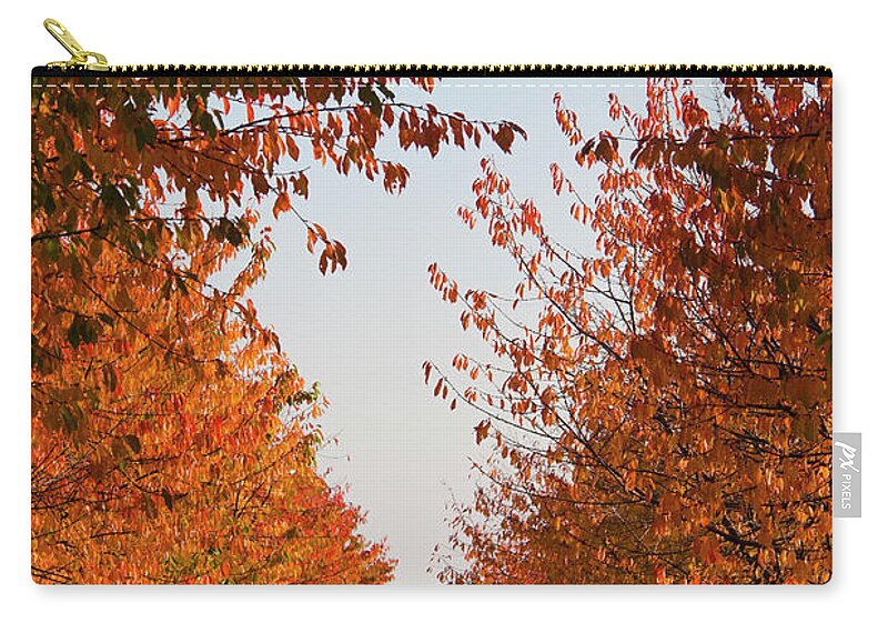 Tranquility Zip Pouch featuring the photograph Germany, Baden Wuerttemberg, Stuttgart #1 by Westend61