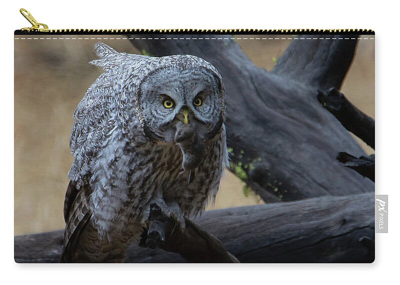 Owl Zip Pouch featuring the photograph Great Gray Owl #4 of 5 by Patrick Nowotny