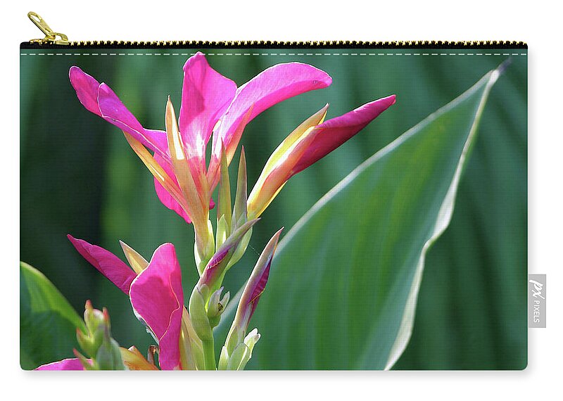 Flower Zip Pouch featuring the photograph Guide Me Lord #1 by John Lautermilch