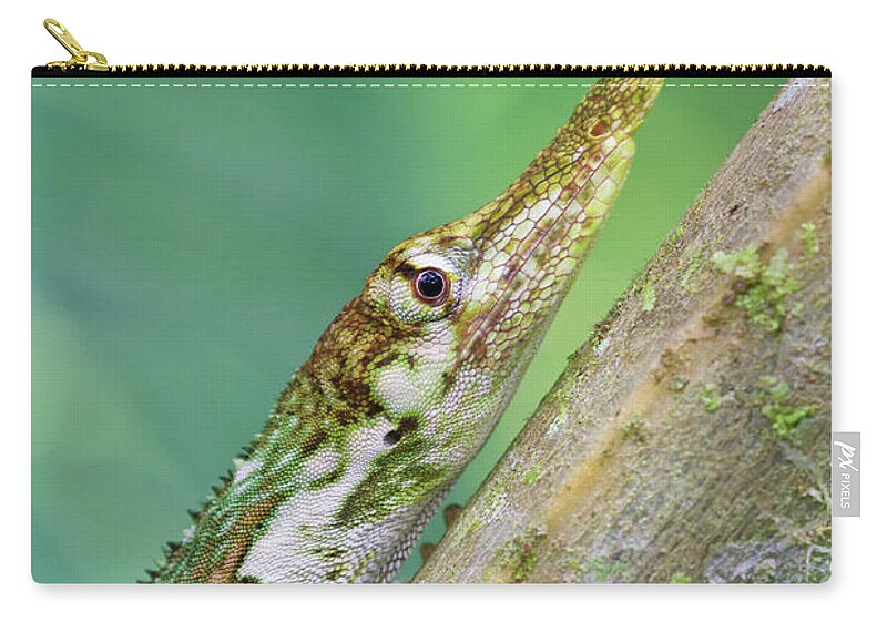 Disk1250 Zip Pouch featuring the photograph Horned Anole Male #1 by James Christensen