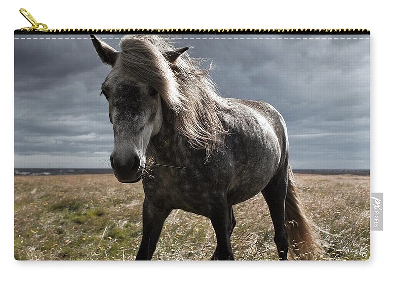 Horse Zip Pouch featuring the photograph Icelandic Horse #1 by Johann S. Karlsson