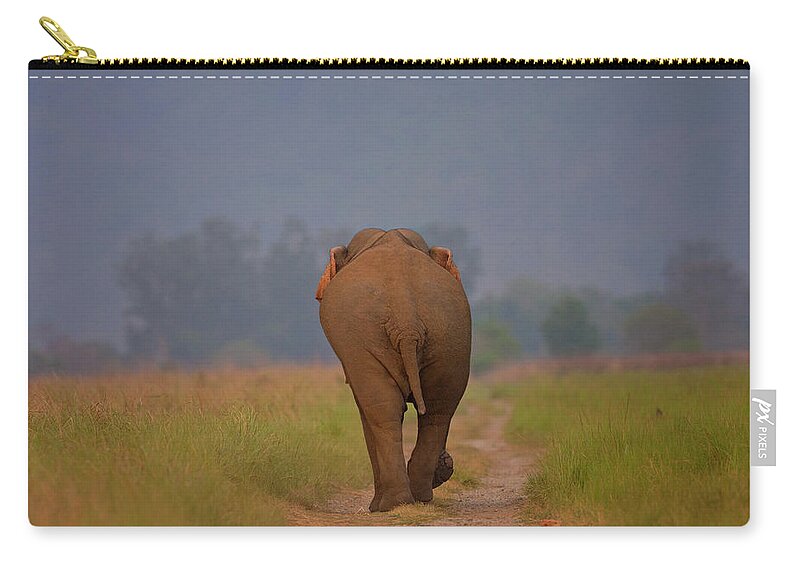 Grass Zip Pouch featuring the photograph Indian Elephant #1 by Ab Apana