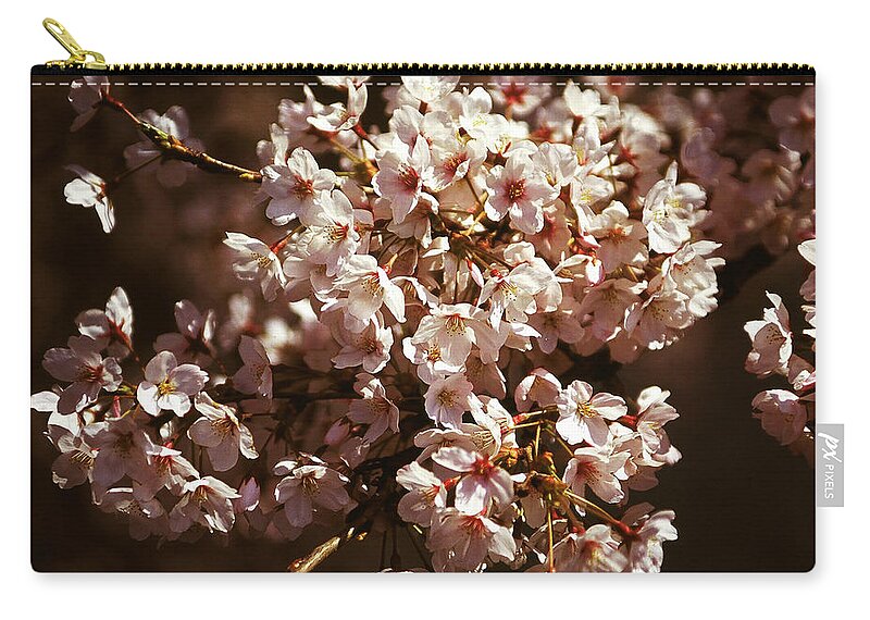 Outdoors Zip Pouch featuring the photograph Japan - Sakura #1 by Boaz Rottem