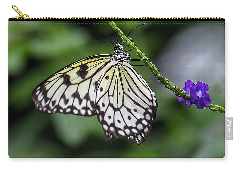 Butterfly Zip Pouch featuring the photograph Little Wing #1 by Ron Dubreuil