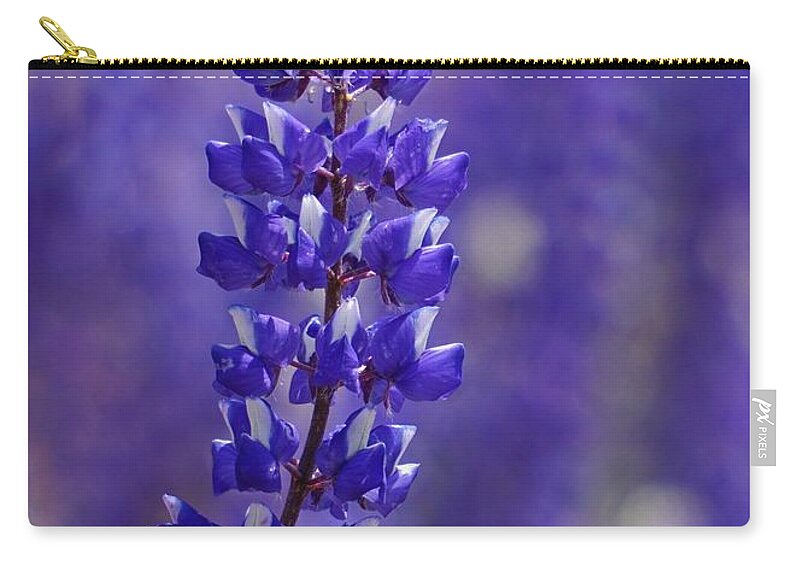 Lupine Zip Pouch featuring the photograph Spider Lupine Kern River Valley by Brett Harvey