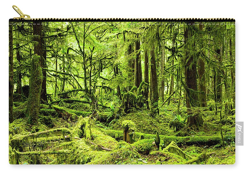 Tranquility Zip Pouch featuring the photograph Lush Green Rain Forest #1 by Jordan Siemens
